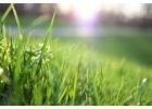 Veteran Lawn Care & Landscaping Providing Expert Irrigation Services in Pflugerville