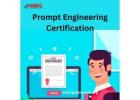 The Role of a Prompt Engineering Certification in the Age of AI Automation.