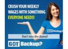 Work from Home & Get Paid to Promote Digital Backups!