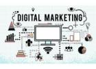 S2V Infotech: Leading Digital Marketing & SEO Services to Transform Your Online Presence