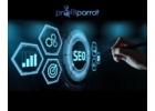 Get The Best Services of SEO in Windsor